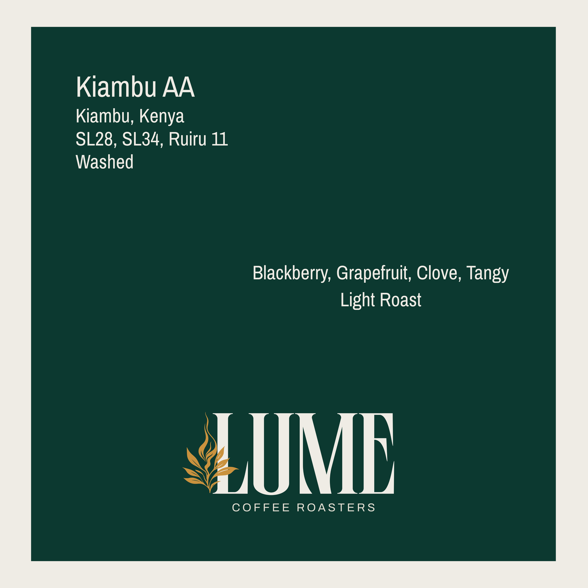 Kiambu AA 100g