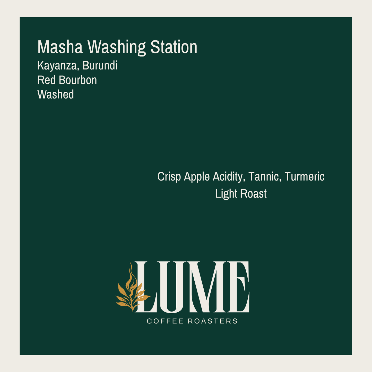 Masha Washing Station 100g