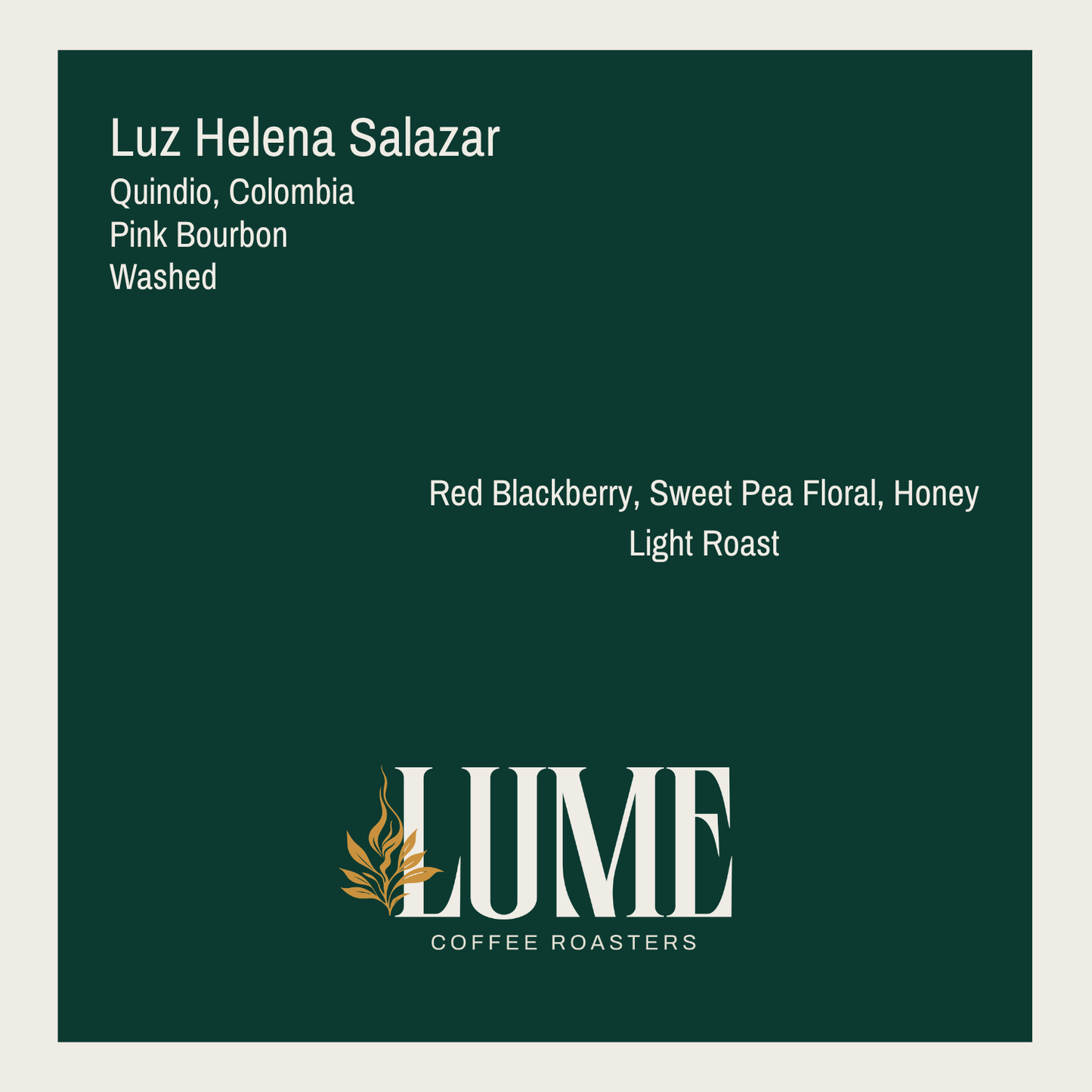 Luz Helena Salazar 100g