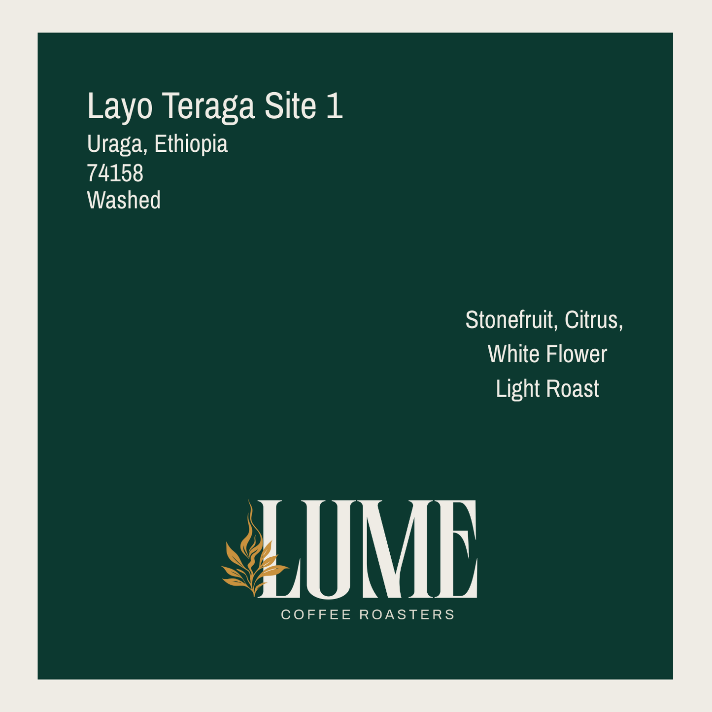 Layo Teraga Site 1 100g